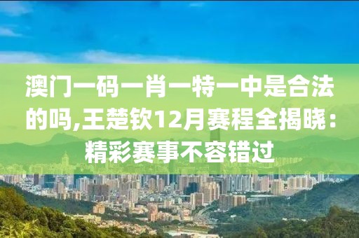 澳門一碼一肖一特一中是合法的嗎,王楚欽12月賽程全揭曉：精彩賽事不容錯(cuò)過