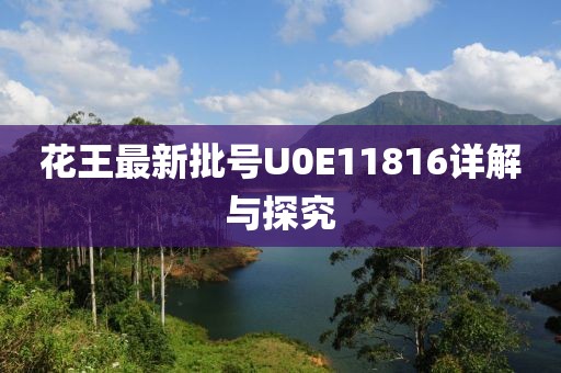 花王最新批號U0E11816詳解與探究