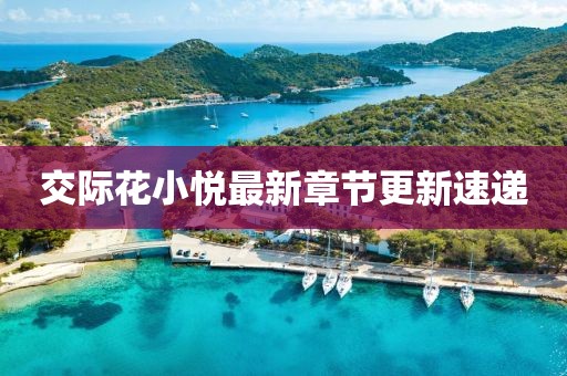 交際花小悅最新章節(jié)更新速遞