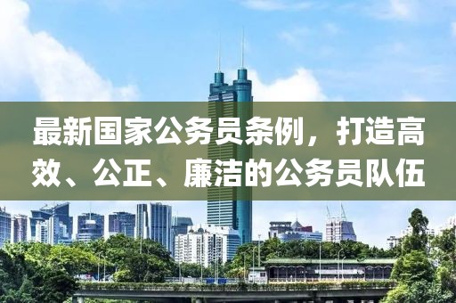不可匹敵 第28頁