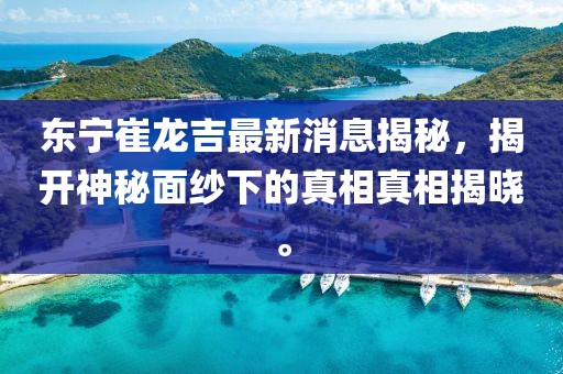 東寧崔龍吉最新消息揭秘，揭開神秘面紗下的真相真相揭曉。