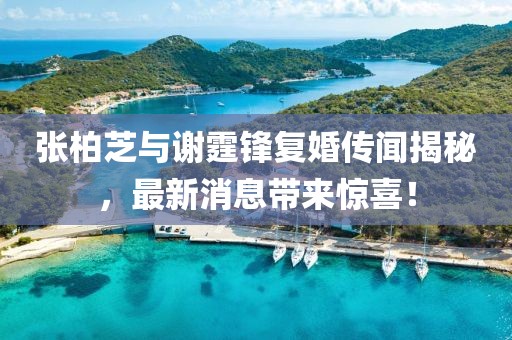 張柏芝與謝霆鋒復婚傳聞揭秘，最新消息帶來驚喜！