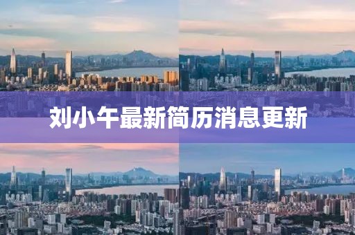 劉小午最新簡(jiǎn)歷消息更新