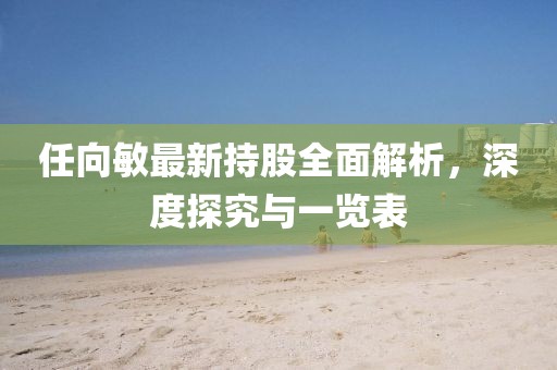 任向敏最新持股全面解析，深度探究與一覽表