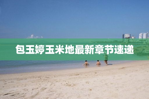 西瓜太郎 第29頁(yè)