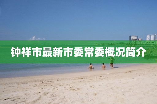 鐘祥市最新市委常委概況簡介