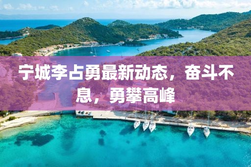 寧城李占勇最新動(dòng)態(tài)，奮斗不息，勇攀高峰