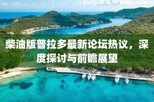 柴油版普拉多最新論壇熱議，深度探討與前瞻展望