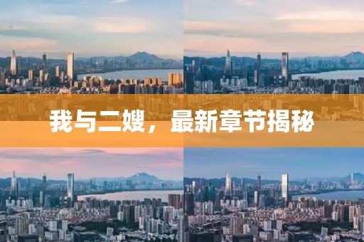 我與二嫂，最新章節(jié)揭秘