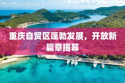重慶自貿(mào)區(qū)蓬勃發(fā)展，開放新篇章揭幕