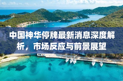中國神華停牌最新消息深度解析，市場反應(yīng)與前景展望