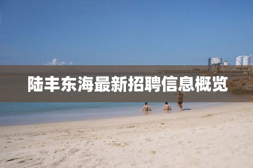 陸豐東海最新招聘信息概覽