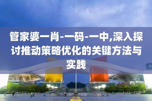管家婆一肖-一碼-一中,深入探討推動(dòng)策略優(yōu)化的關(guān)鍵方法與實(shí)踐