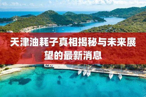 天津油耗子真相揭秘與未來展望的最新消息
