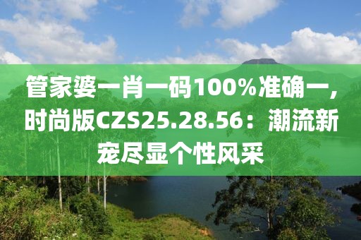 管家婆一肖一碼100%準(zhǔn)確一,時(shí)尚版CZS25.28.56：潮流新寵盡顯個(gè)性風(fēng)采