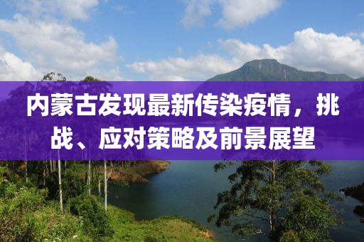 內(nèi)蒙古發(fā)現(xiàn)最新傳染疫情，挑戰(zhàn)、應(yīng)對(duì)策略及前景展望