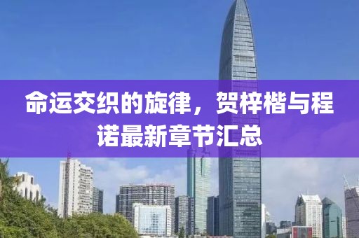 命運(yùn)交織的旋律，賀梓楷與程諾最新章節(jié)匯總