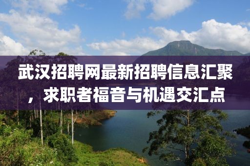 武漢招聘網(wǎng)最新招聘信息匯聚，求職者福音與機遇交匯點