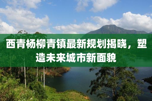 西青楊柳青鎮(zhèn)最新規(guī)劃揭曉，塑造未來城市新面貌