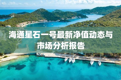 海通星石一號(hào)最新凈值動(dòng)態(tài)與市場(chǎng)分析報(bào)告