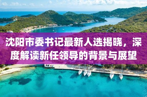 沈陽市委書記最新人選揭曉，深度解讀新任領(lǐng)導(dǎo)的背景與展望