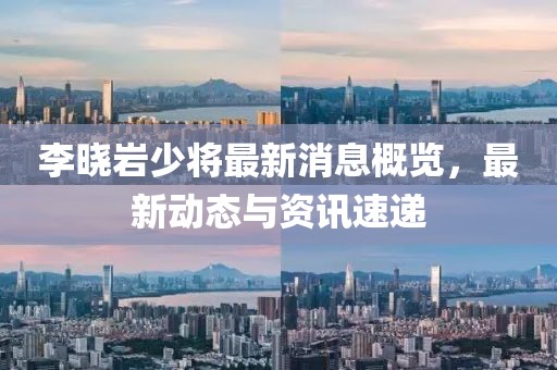 李曉巖少將最新消息概覽，最新動(dòng)態(tài)與資訊速遞