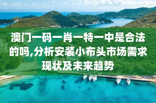 澳門一碼一肖一特一中是合法的嗎,分析安裝小布頭市場(chǎng)需求現(xiàn)狀及未來趨勢(shì)