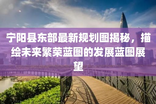 寧陽縣東部最新規(guī)劃圖揭秘，描繪未來繁榮藍(lán)圖的發(fā)展藍(lán)圖展望
