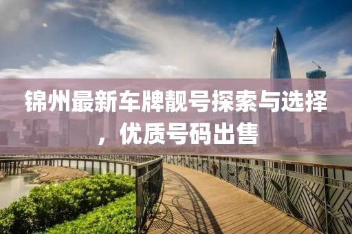 錦州最新車牌靚號(hào)探索與選擇，優(yōu)質(zhì)號(hào)碼出售