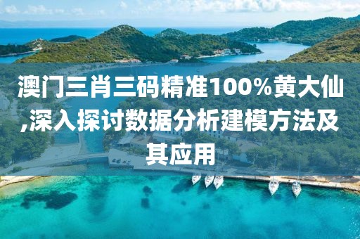 澳門三肖三碼精準100%黃大仙,深入探討數據分析建模方法及其應用