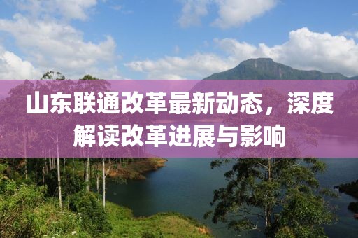 山東聯(lián)通改革最新動(dòng)態(tài)，深度解讀改革進(jìn)展與影響