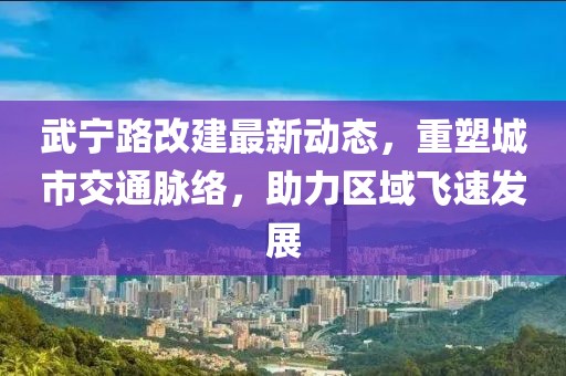 武寧路改建最新動(dòng)態(tài)，重塑城市交通脈絡(luò)，助力區(qū)域飛速發(fā)展