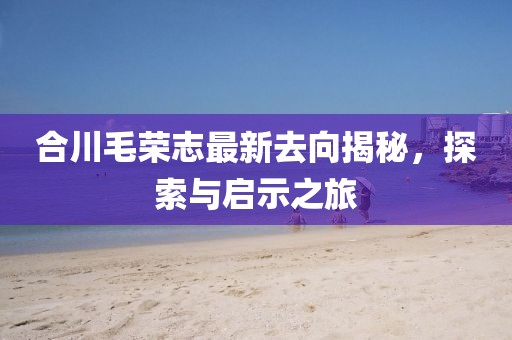 合川毛榮志最新去向揭秘，探索與啟示之旅