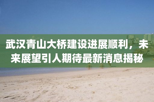 武漢青山大橋建設(shè)進(jìn)展順利，未來(lái)展望引人期待最新消息揭秘