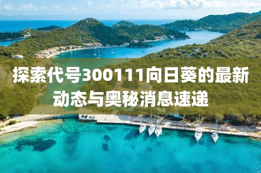 探索代號300111向日葵的最新動態(tài)與奧秘消息速遞