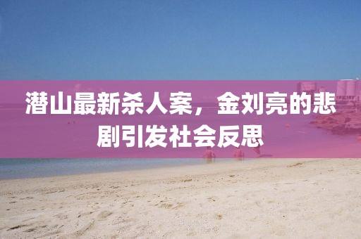 潛山最新殺人案，金劉亮的悲劇引發(fā)社會反思