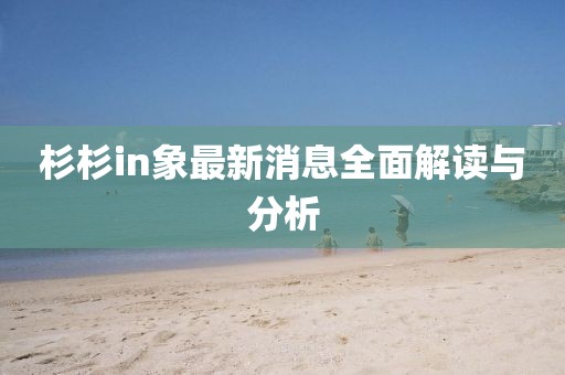 杉杉in象最新消息全面解讀與分析