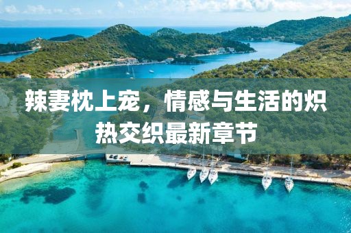 辣妻枕上寵，情感與生活的熾熱交織最新章節(jié)