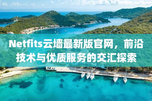 Netfits云墻最新版官網，前沿技術與優(yōu)質服務的交匯探索