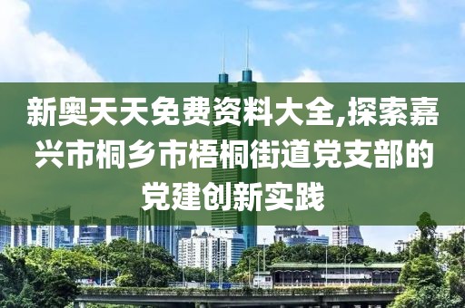 新奧天天免費資料大全,探索嘉興市桐鄉(xiāng)市梧桐街道黨支部的黨建創(chuàng)新實踐