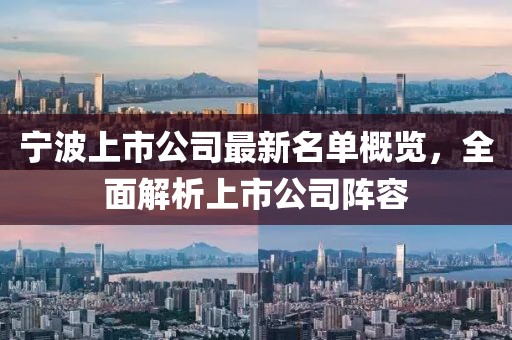 寧波上市公司最新名單概覽，全面解析上市公司陣容