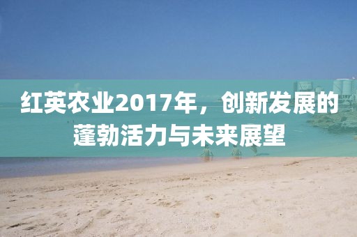 紅英農(nóng)業(yè)2017年，創(chuàng)新發(fā)展的蓬勃活力與未來展望