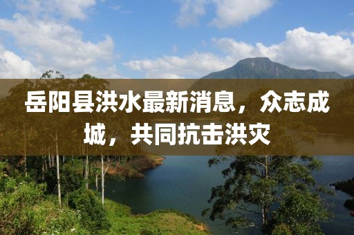 岳陽縣洪水最新消息，眾志成城，共同抗擊洪災(zāi)
