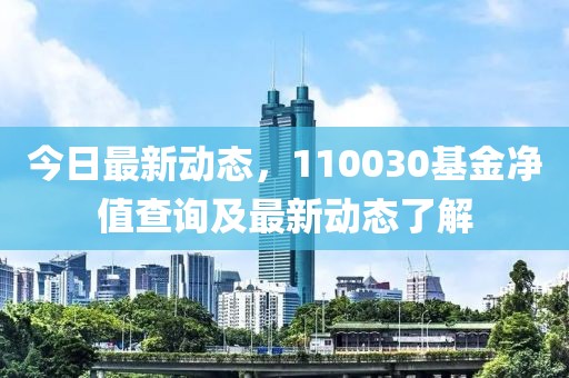 今日最新動(dòng)態(tài)，110030基金凈值查詢及最新動(dòng)態(tài)了解
