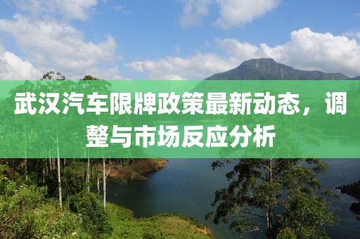 武漢汽車限牌政策最新動態(tài)，調(diào)整與市場反應(yīng)分析