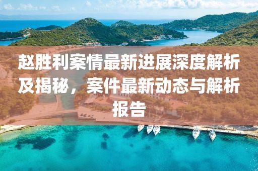 趙勝利案情最新進展深度解析及揭秘，案件最新動態(tài)與解析報告