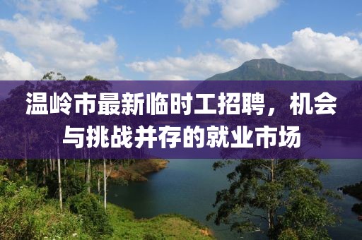 溫嶺市最新臨時工招聘，機(jī)會與挑戰(zhàn)并存的就業(yè)市場