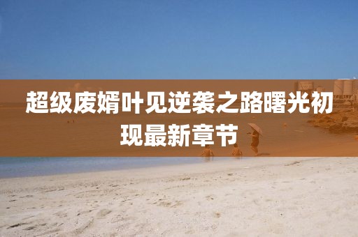 超級(jí)廢婿葉見逆襲之路曙光初現(xiàn)最新章節(jié)