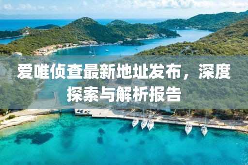 愛唯偵查最新地址發(fā)布，深度探索與解析報(bào)告