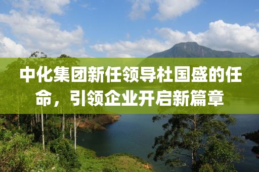 中化集團(tuán)新任領(lǐng)導(dǎo)杜國(guó)盛的任命，引領(lǐng)企業(yè)開啟新篇章